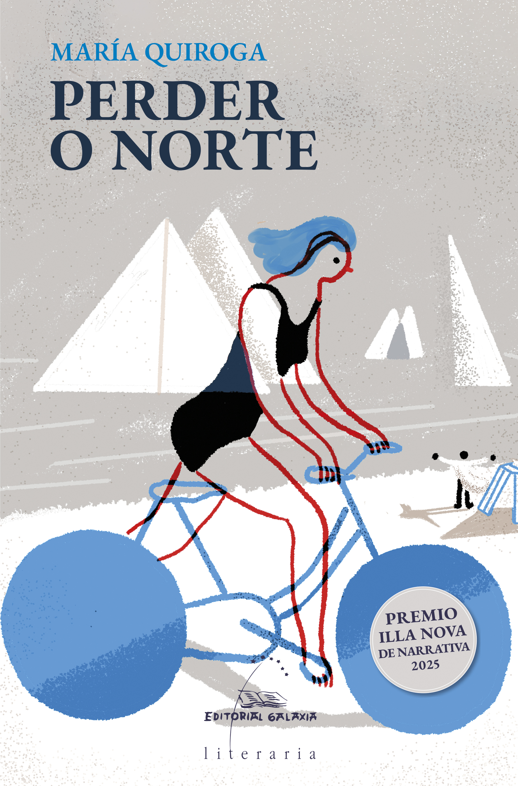 Portada de "Perder o norte (IX Premio Illa nova de Narrativa 2025)"