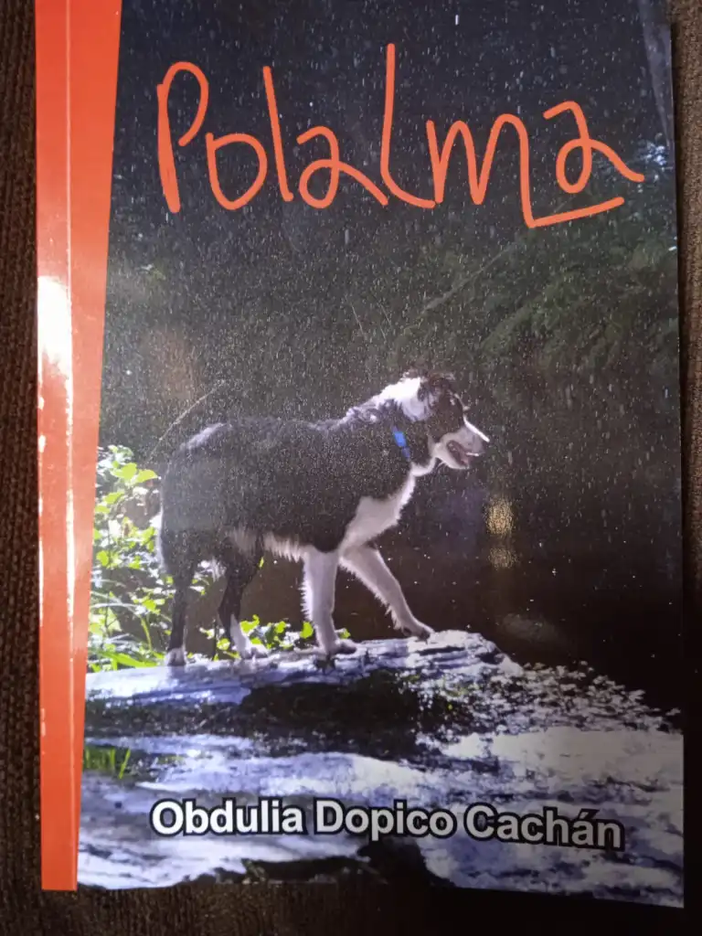 POLA ALMA