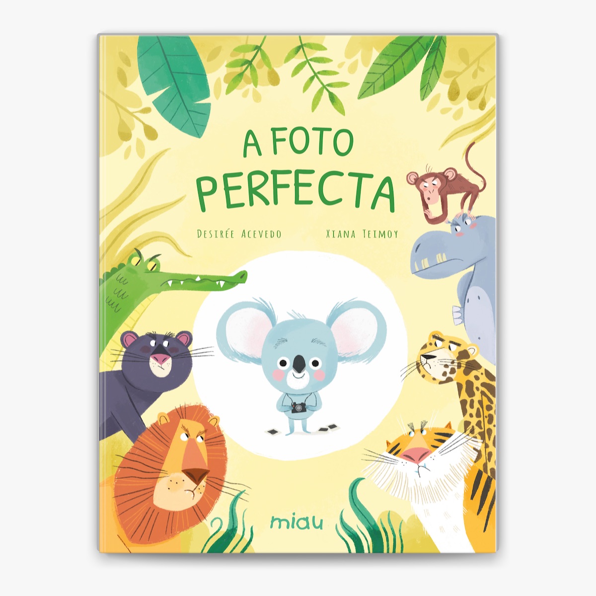 A FOTO PERFECTA