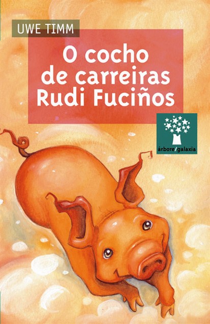 O COCHO DE CARREIRAS RUDI FUCIÑOS