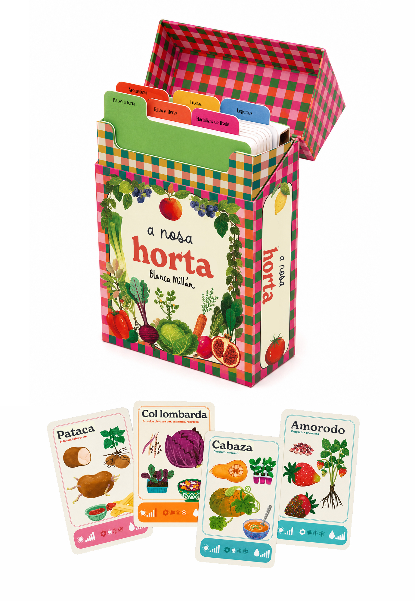A NOSA HORTA: CAIXA CON 63 FICHAS
