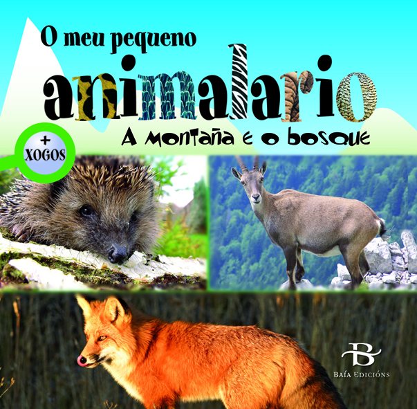 A MONTAÑA E O BOSQUE