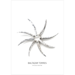 BALTAZAR TORRES