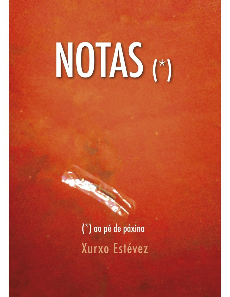 NOTAS AO PÉ DE PÁXINA