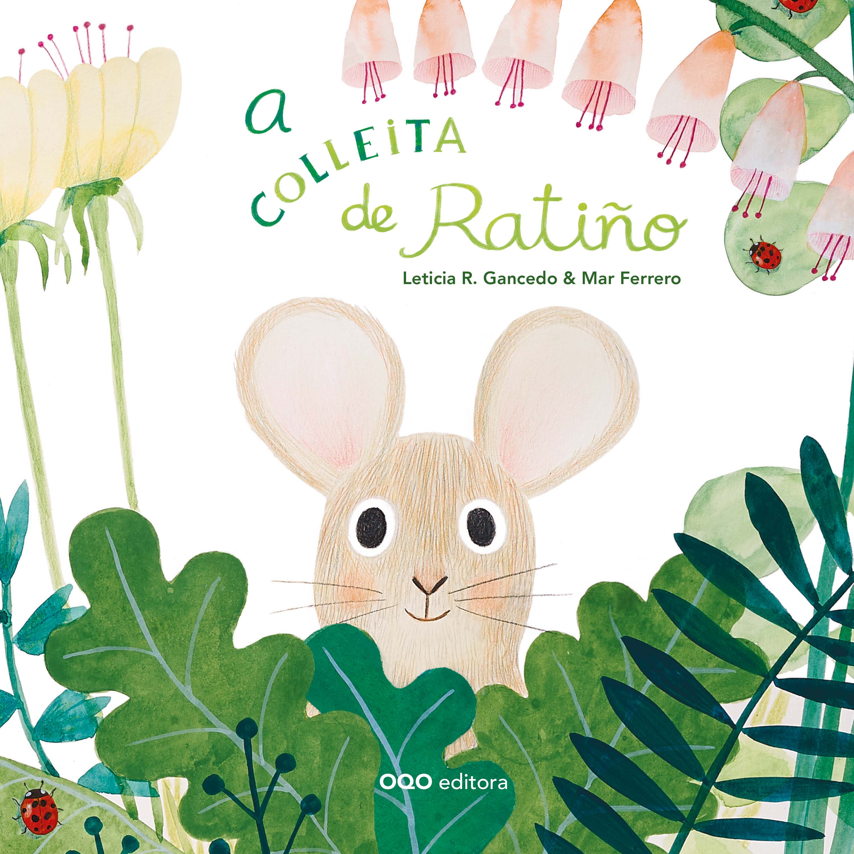 A COLLEITA DE RATIÑO